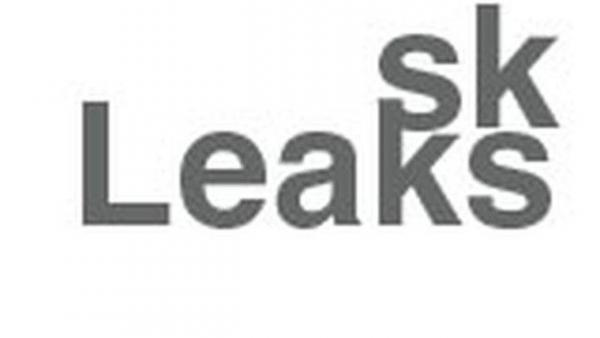 Skolkovo Leaks - о результатах акселератора